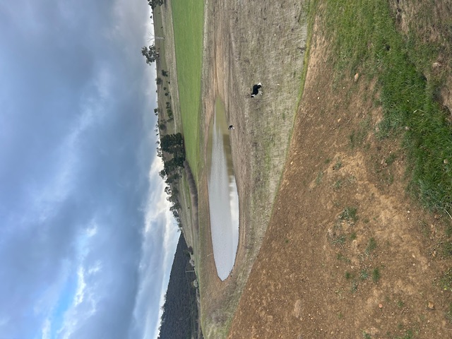Morris' Dam Enhancement Project logo