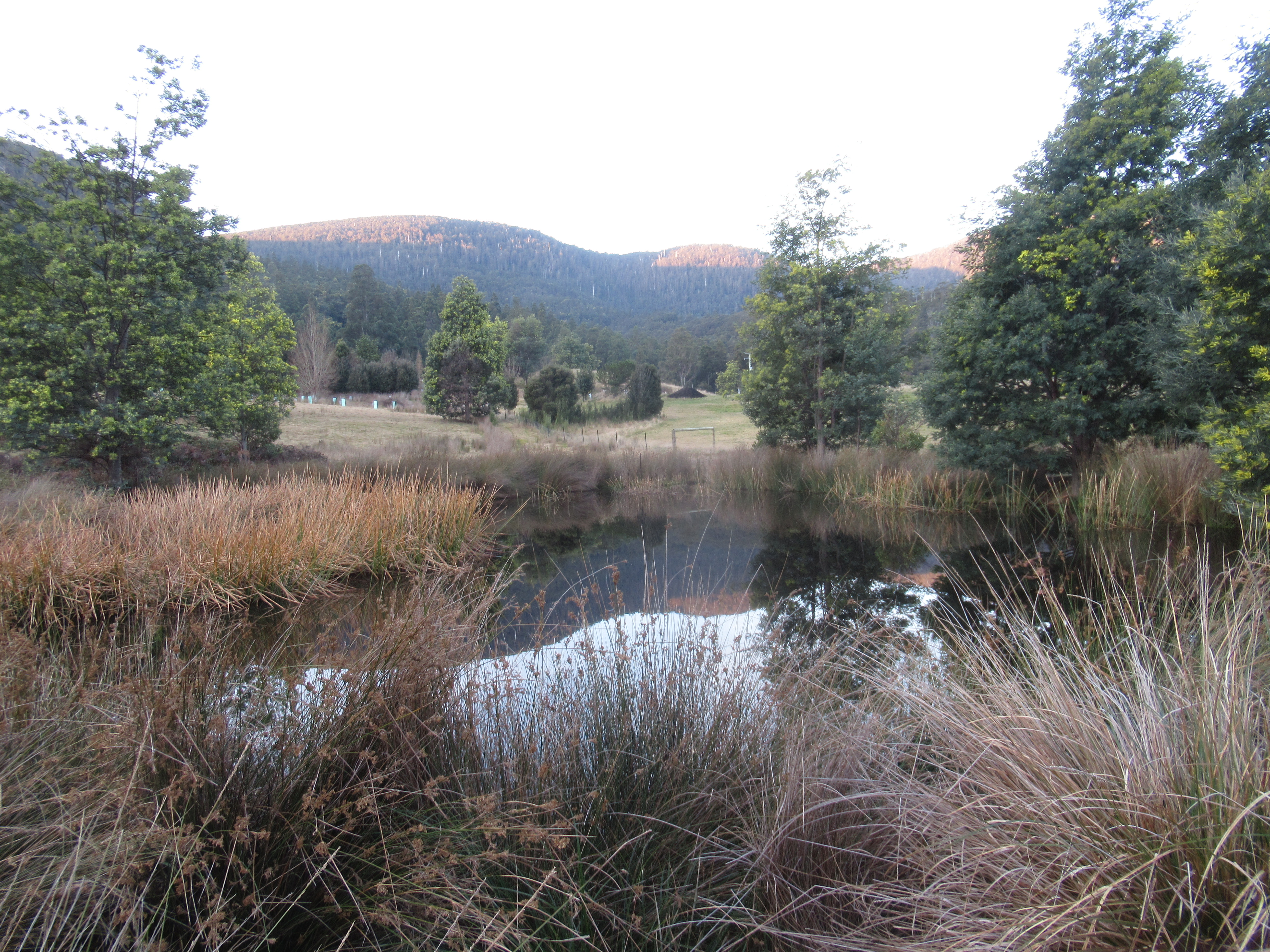 Farm Dam Enhancement logo